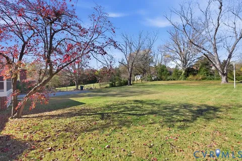 a view of a ground with large trees