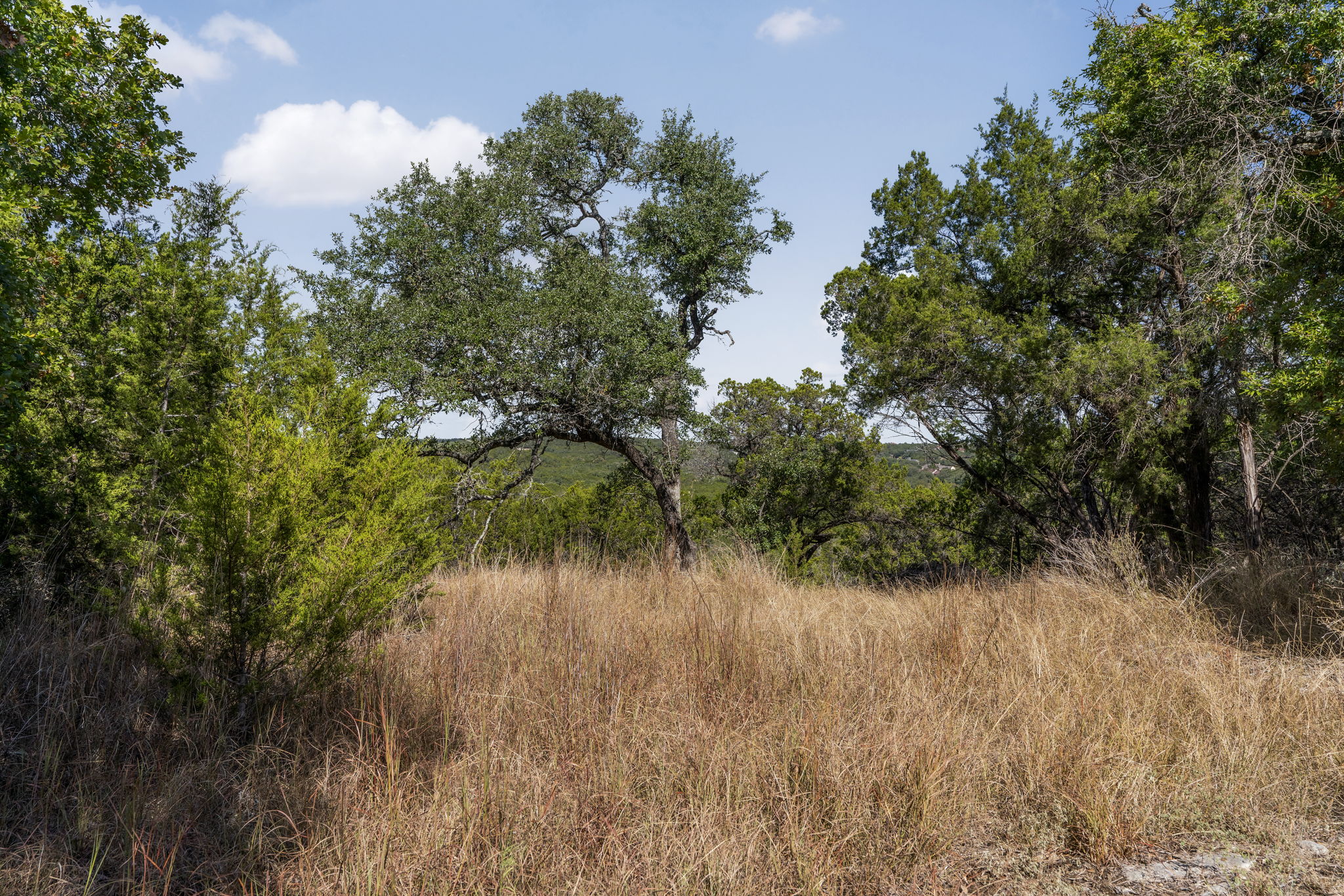 1930 South Rainbow Ranch Road Wimberley, TX 78676 - Photo 20 of 40