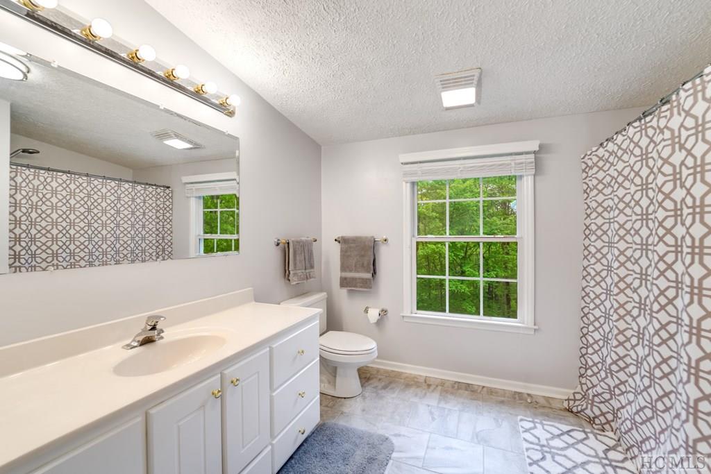 391 Tower Road Sapphire, NC 28774 - Photo 13 of 40 Gallery Image 13