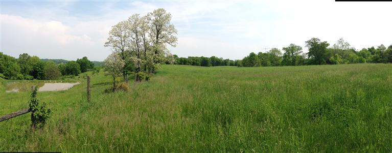 0 Sugar Creek Road Dry Ridge, KY 41035 - Photo 10 of 14
