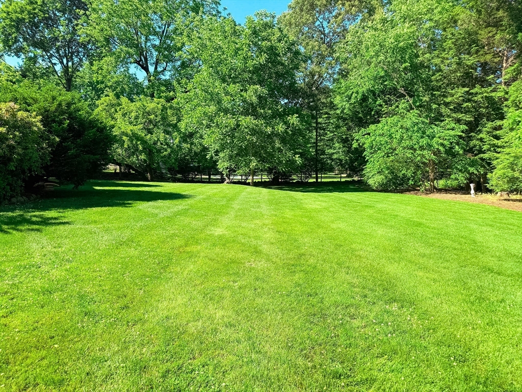 209 Bacon Street, Unit 1 Natick, MA 01760 - Photo 20 of 20
