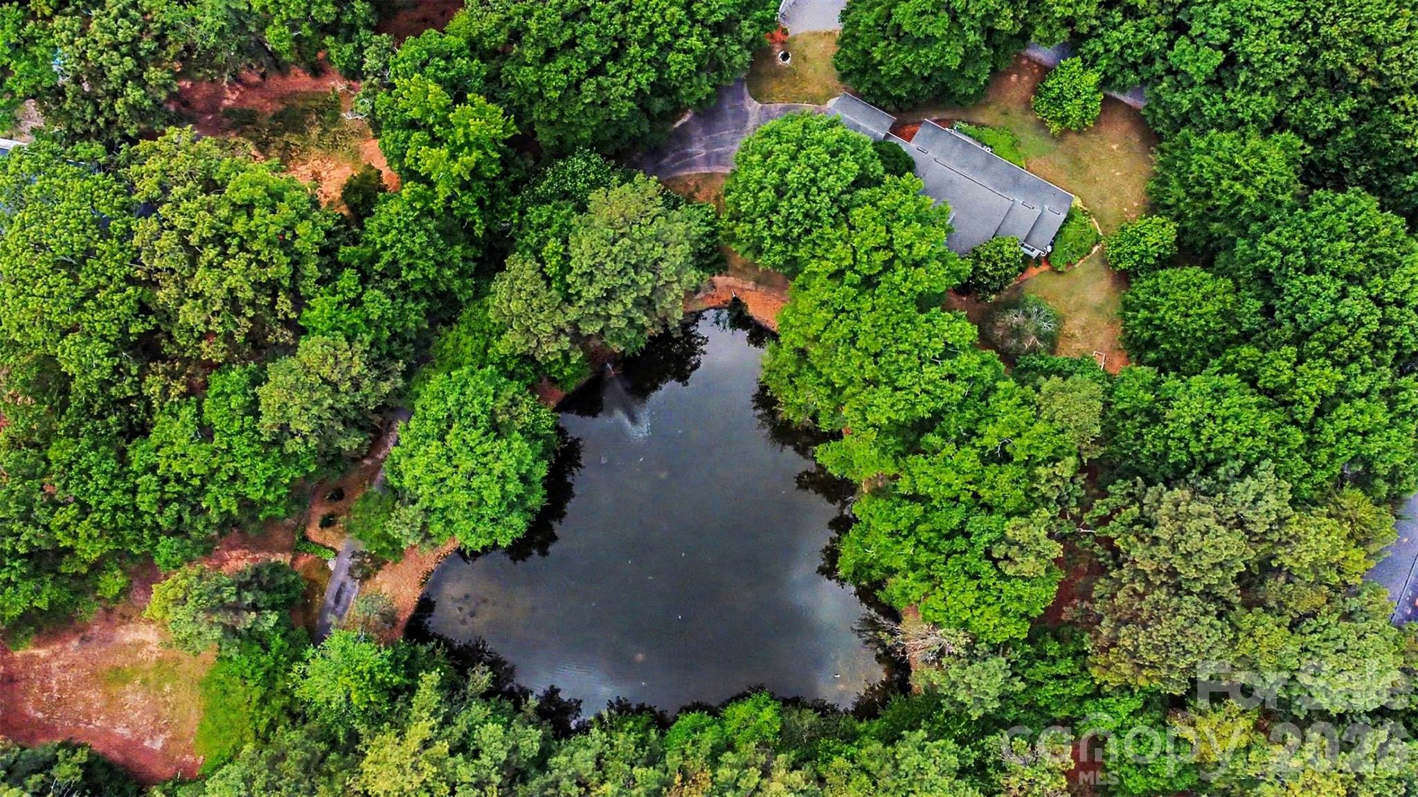 4037 Old Williamston Road Belton, SC 29627 - Photo 39 of 41 an aerial view of residential house with outdoor space and trees all around