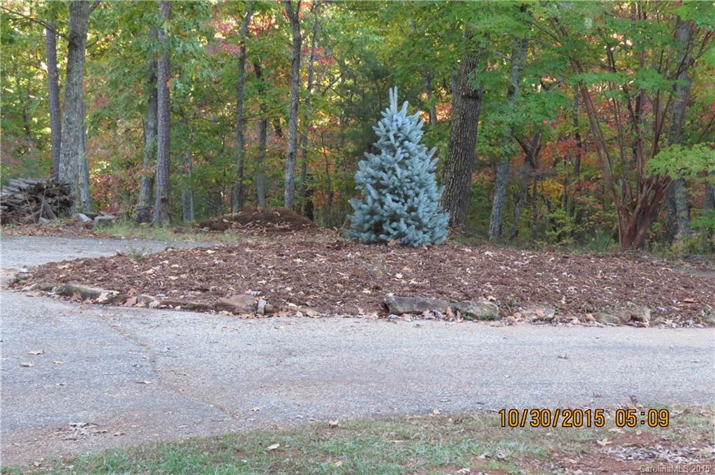 997 Towery Trace Road Ellenboro, NC 28040 - Photo 8 of 24 Gallery Image 8