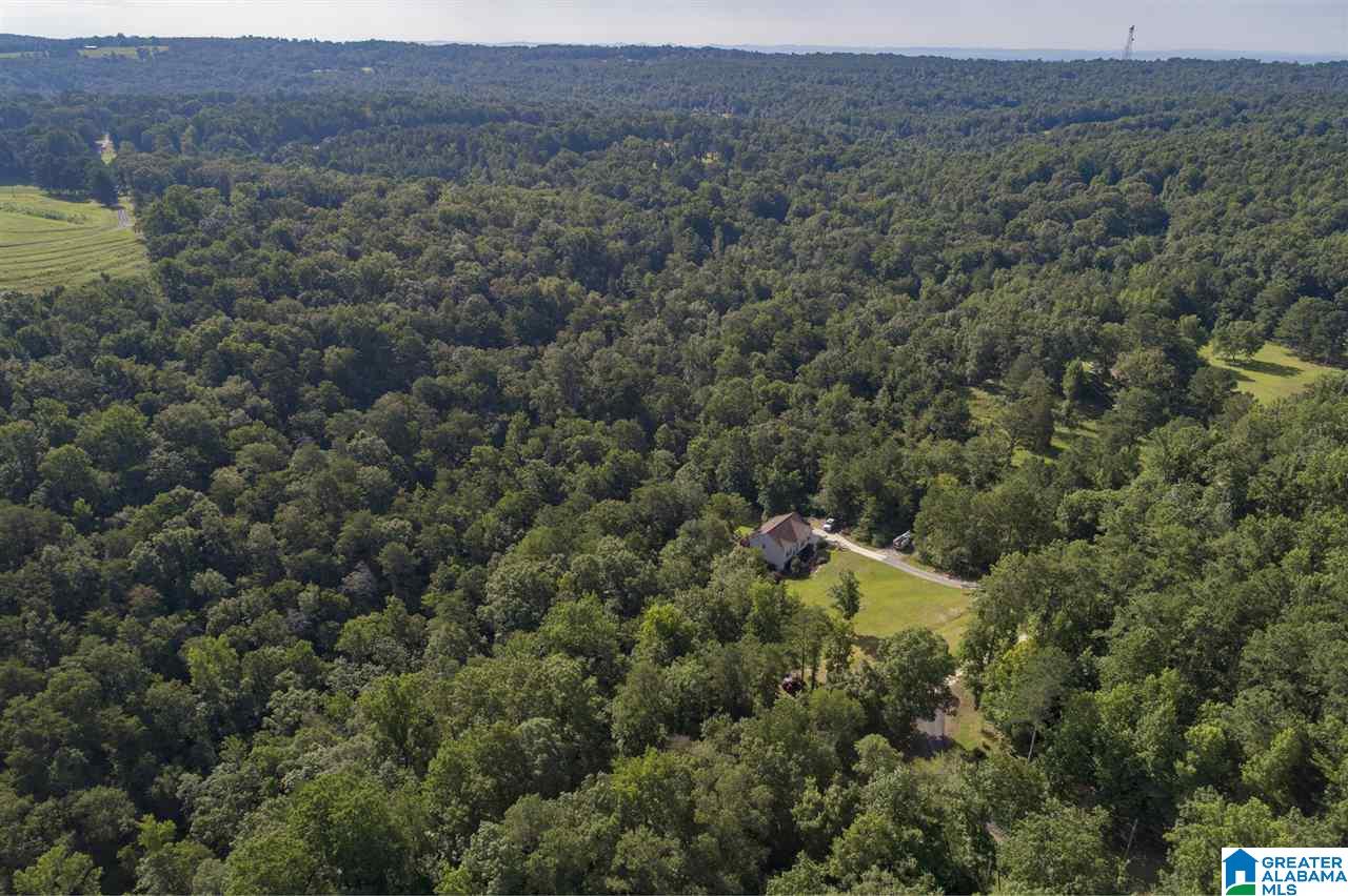 2277 Mt View Road Hayden, AL 35079 - Photo 40 of 46