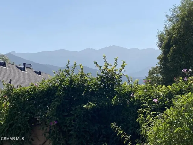 a view of a bunch of plants and a building in the background