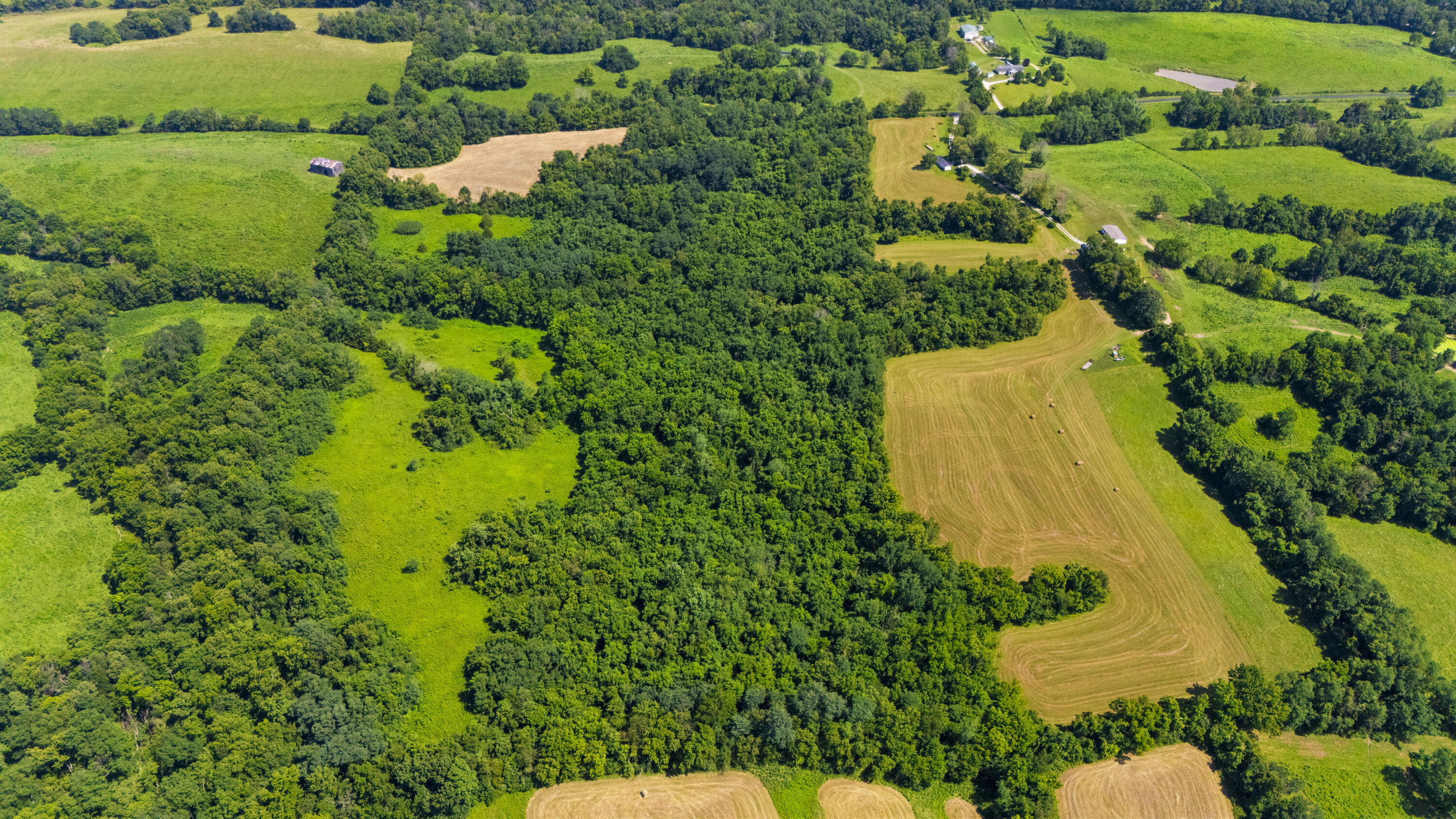 DJI_20260716155656_0117_D
