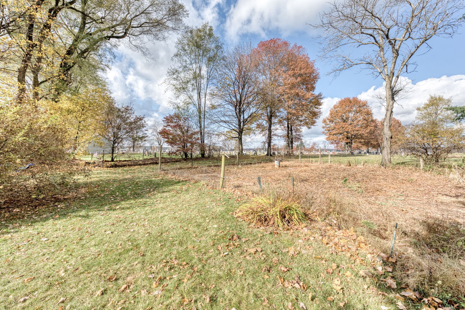 89 Maple Street Ellington, CT 06029 - Photo 8 of 40 a view of yard with trees
