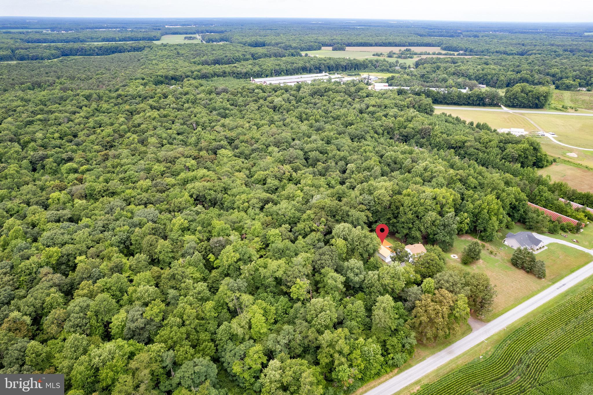 10348 Memory Road Harrington, DE 19952 - Photo 23 of 56 Endless trees