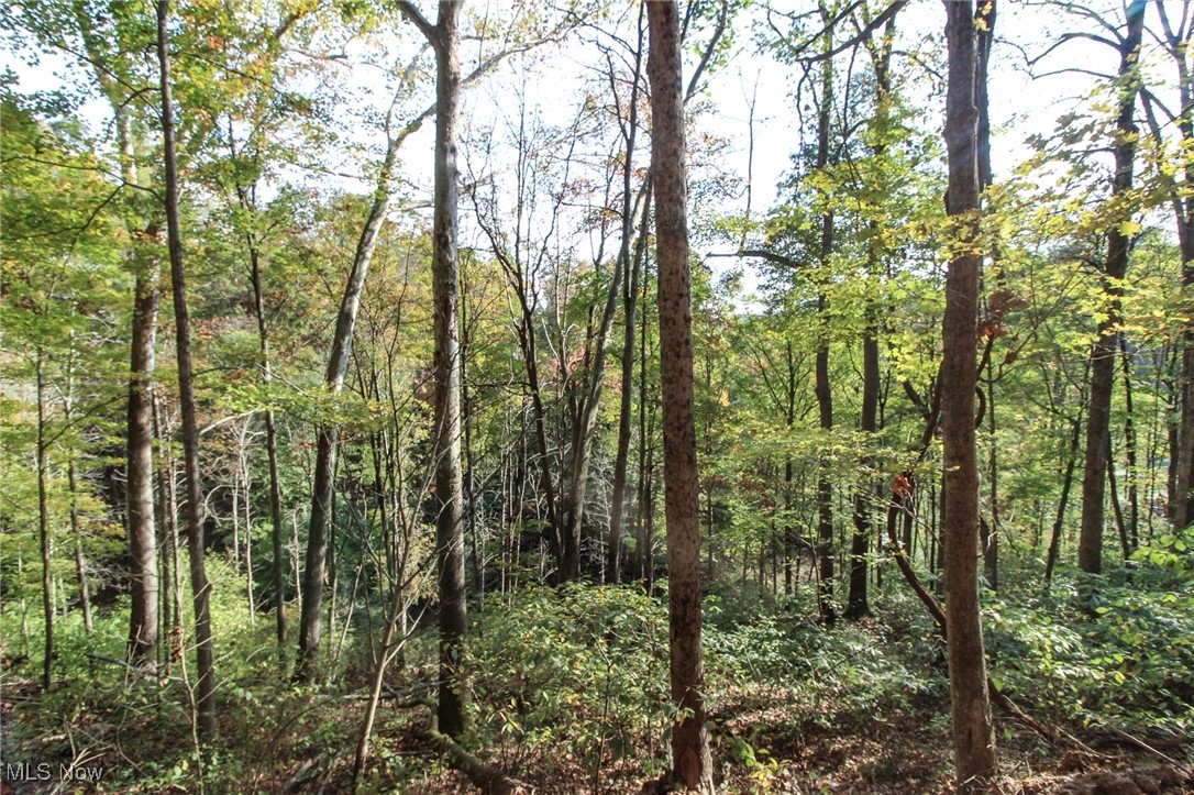 15999 State Route 26 Reno, OH 45773 - Photo 17 of 18 View of wooded area