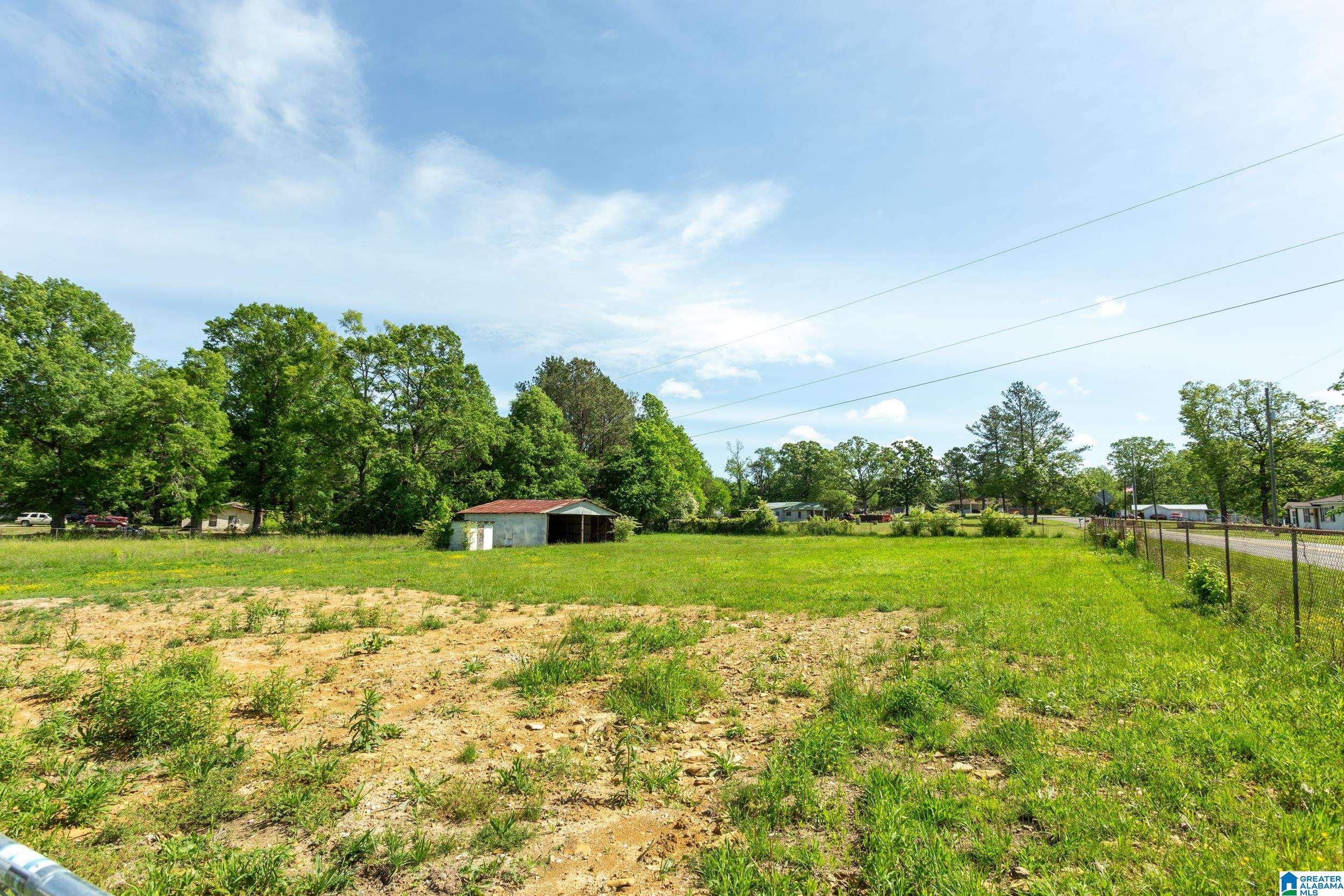 475 Chapman Road Goodwater, AL 35072 - Photo 34 of 35