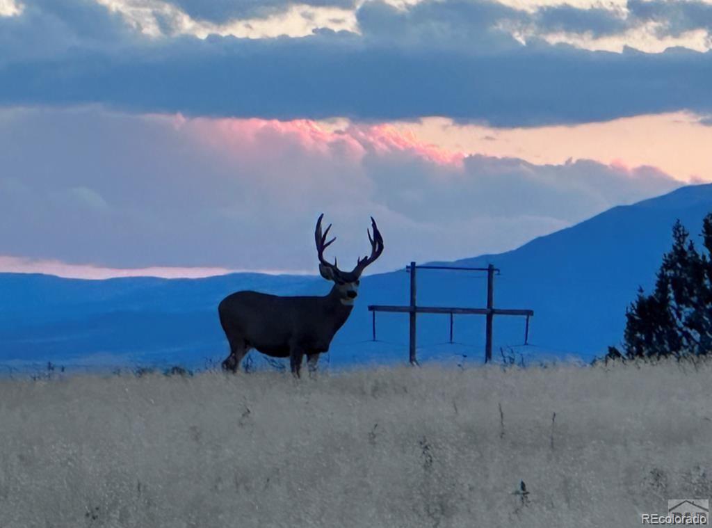 6567 Mdw Blf Drive Rye, CO 81069 - Photo 19 of 21 a view of two chairs in patio