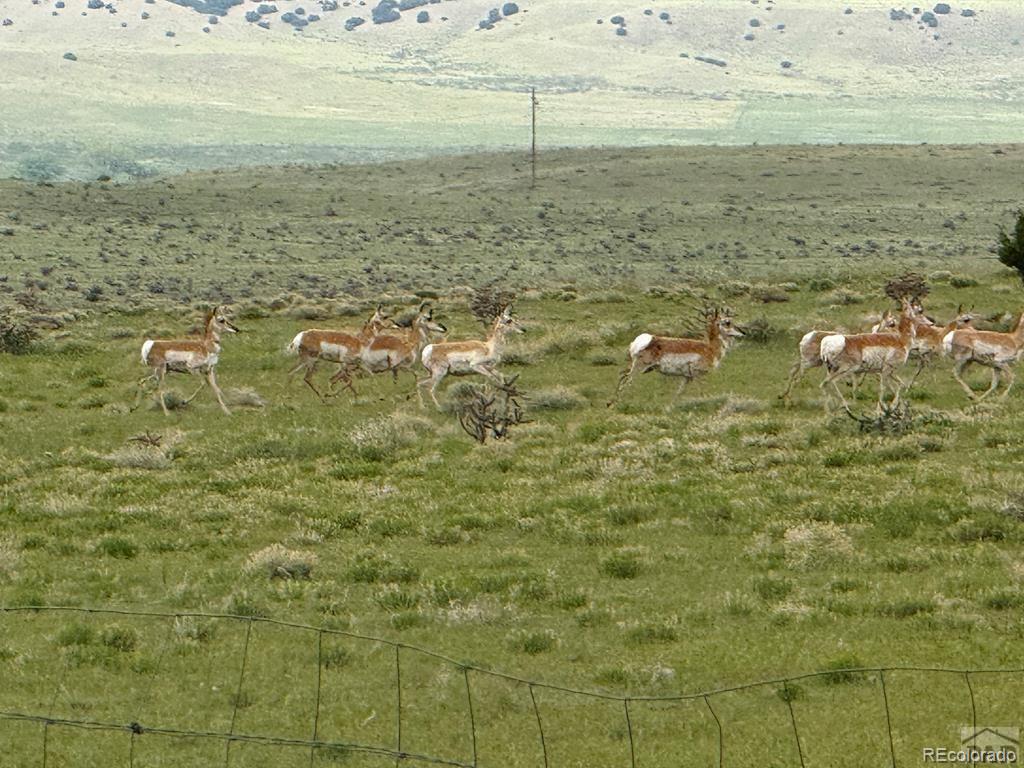 6567 Mdw Blf Drive Rye, CO 81069 - Photo 20 of 21 a view of a lake view
