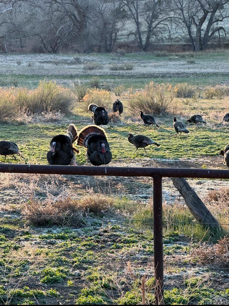6567 Mdw Blf Drive Rye, CO 81069 - Photo 21 of 21 a view of a lake from a window