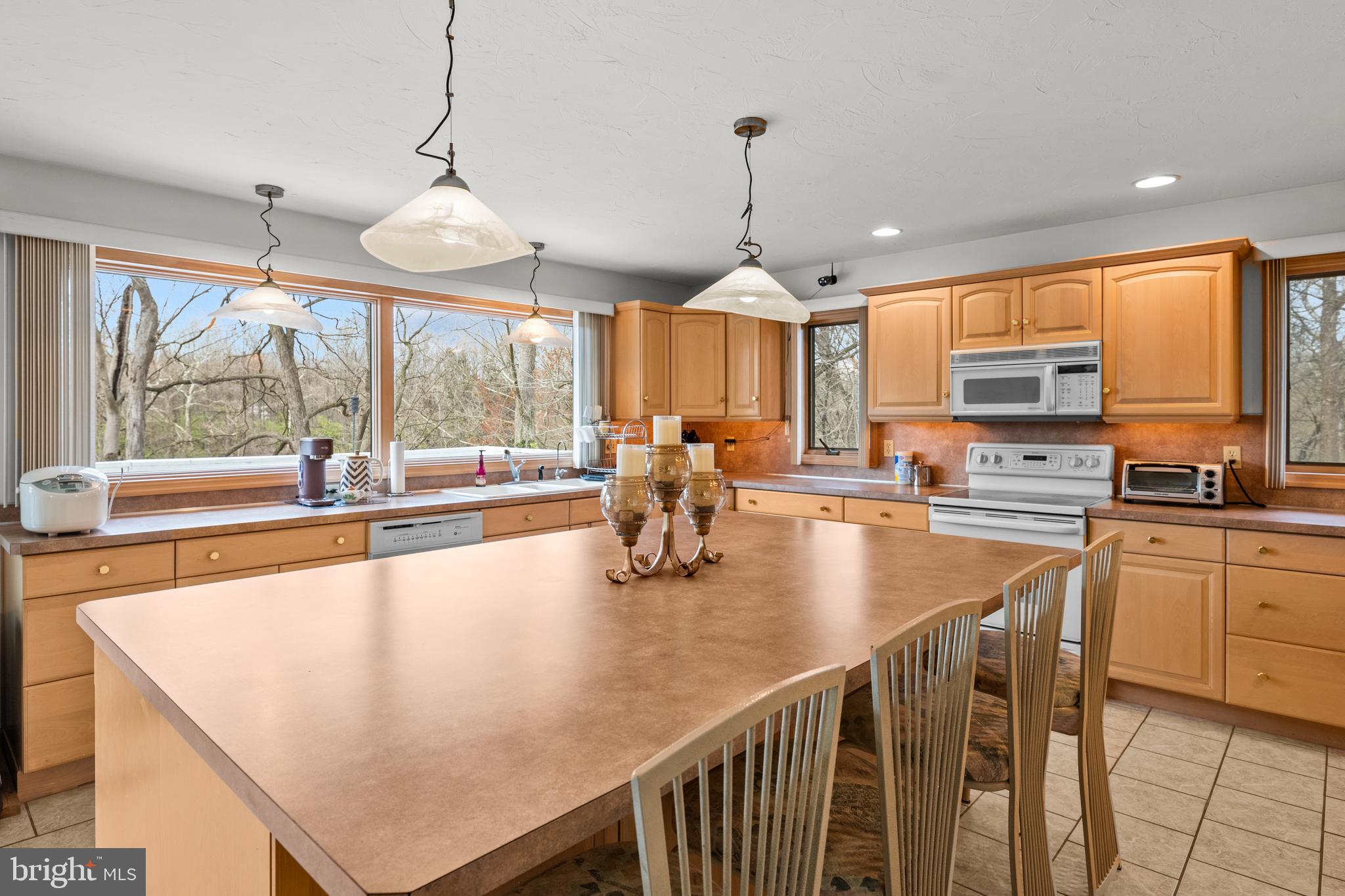 1101 Riverview Drive Reading, PA 19605 - Photo 14 of 67 a kitchen with stainless steel appliances granite countertop a stove top oven a sink a dining table and chairs with the view