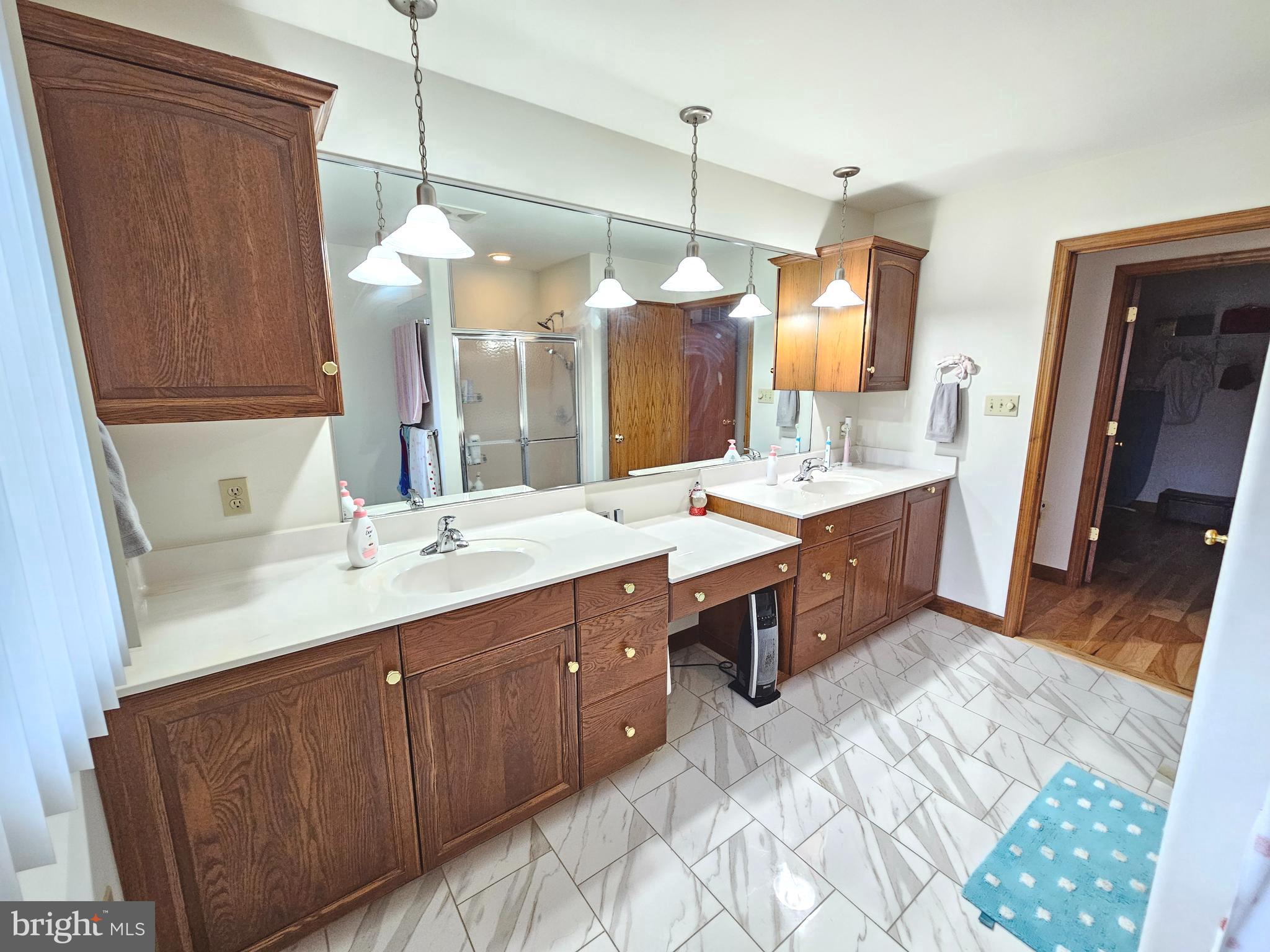 1101 Riverview Drive Reading, PA 19605 - Photo 20 of 67 a bathroom with a double vanity sink mirror and double