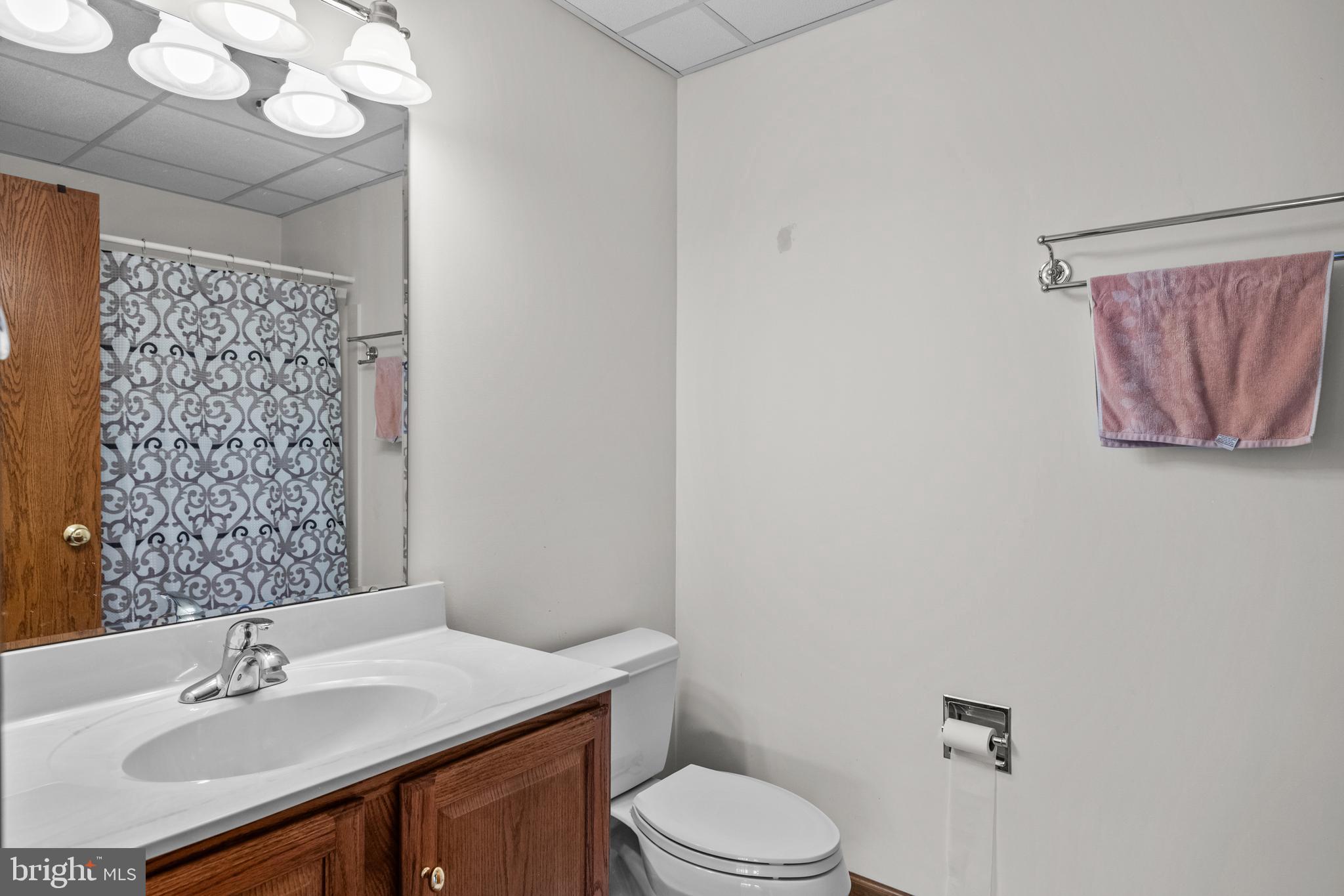 1101 Riverview Drive Reading, PA 19605 - Photo 37 of 67 a bathroom with a sink vanity mirror and toilet