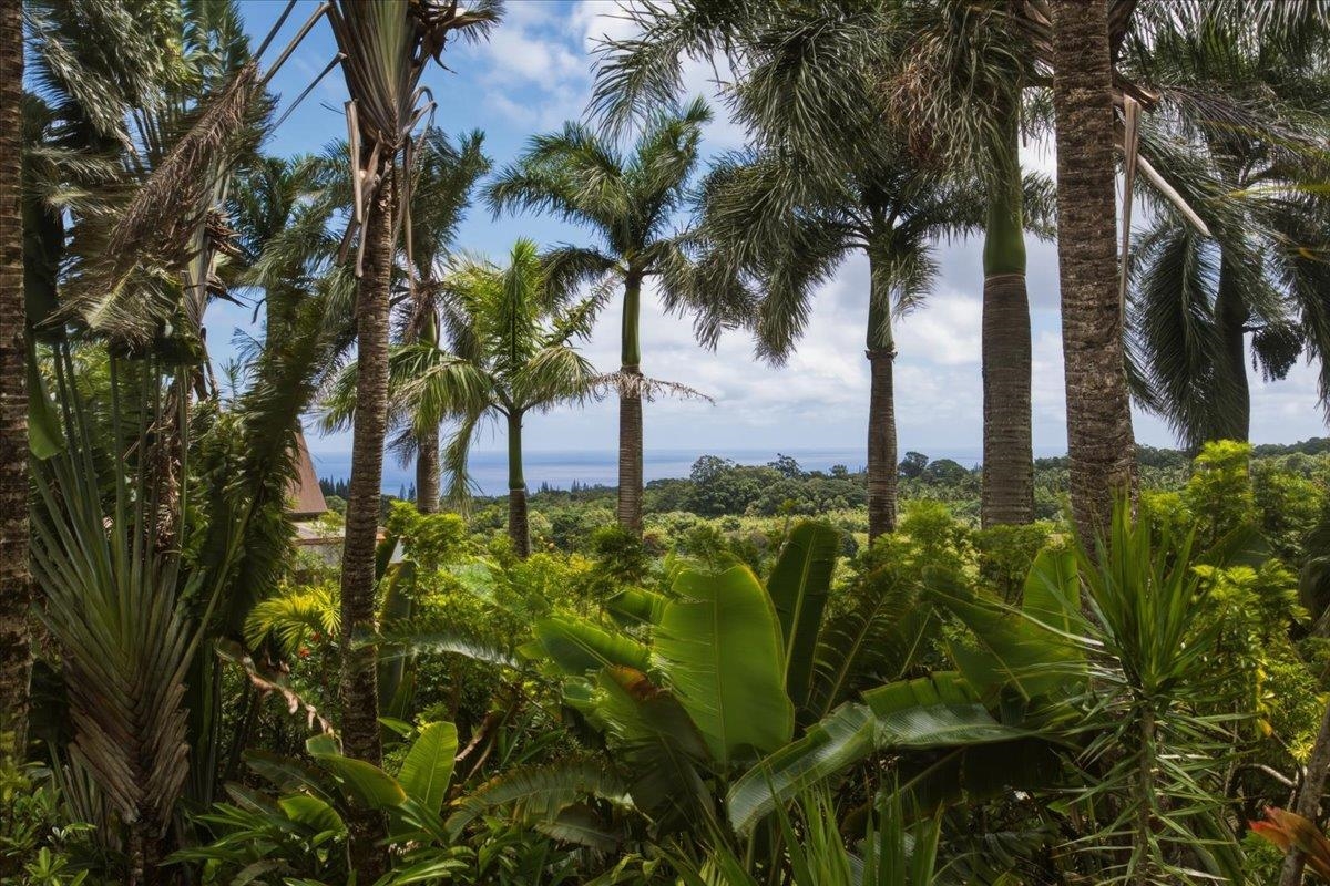 57 South Honokala Road, Unit A Haiku, HI 96708 - Photo 21 of 38 Gallery Image 21