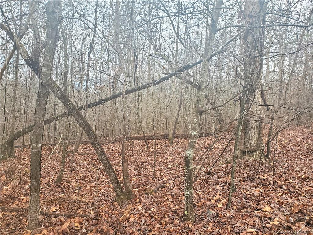 1 Valley Drive Rutherfordton, NC 28139 - Photo 20 of 26