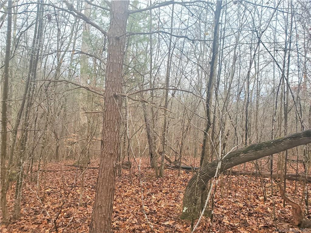 1 Valley Drive Rutherfordton, NC 28139 - Photo 21 of 26