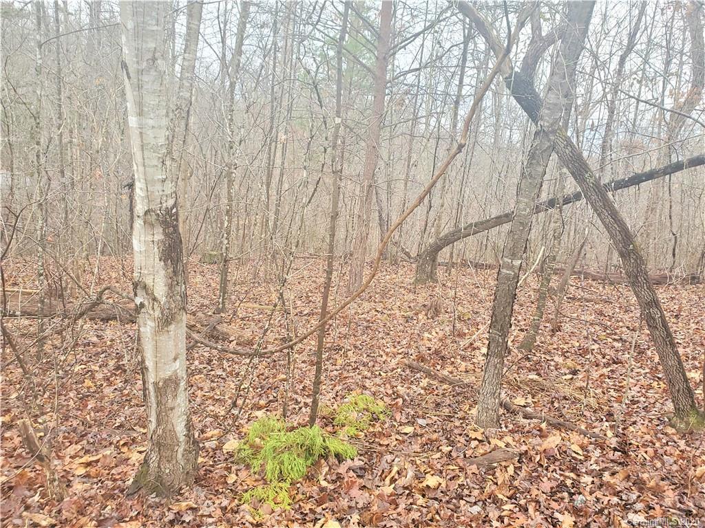 1 Valley Drive Rutherfordton, NC 28139 - Photo 4 of 26