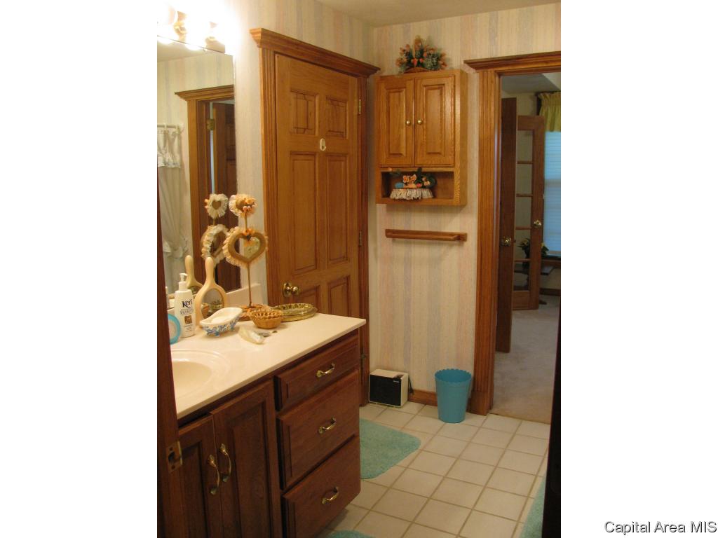 2117 Timberview Drive Springfield, IL 62702 - Photo 17 of 25