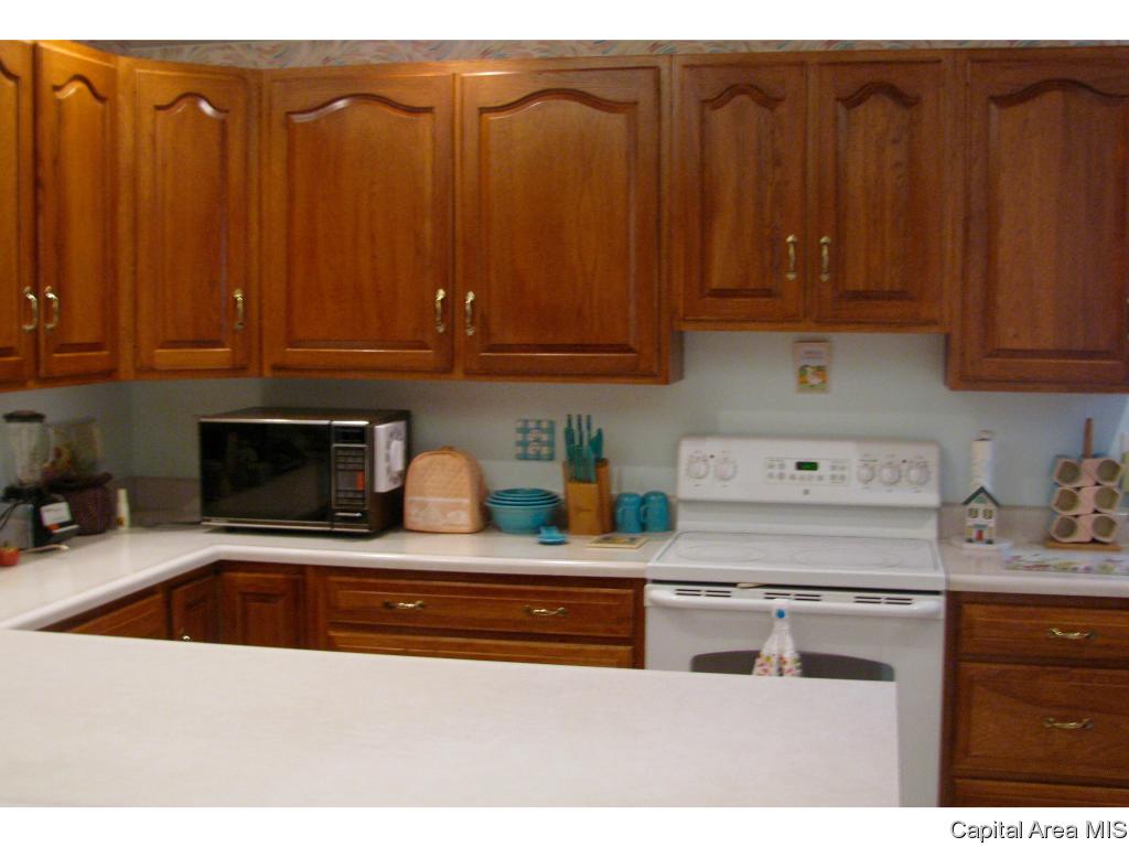 2117 Timberview Drive Springfield, IL 62702 - Photo 6 of 25