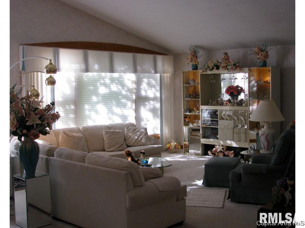 2117 Timberview Drive Springfield, IL 62702 - Photo 9 of 25