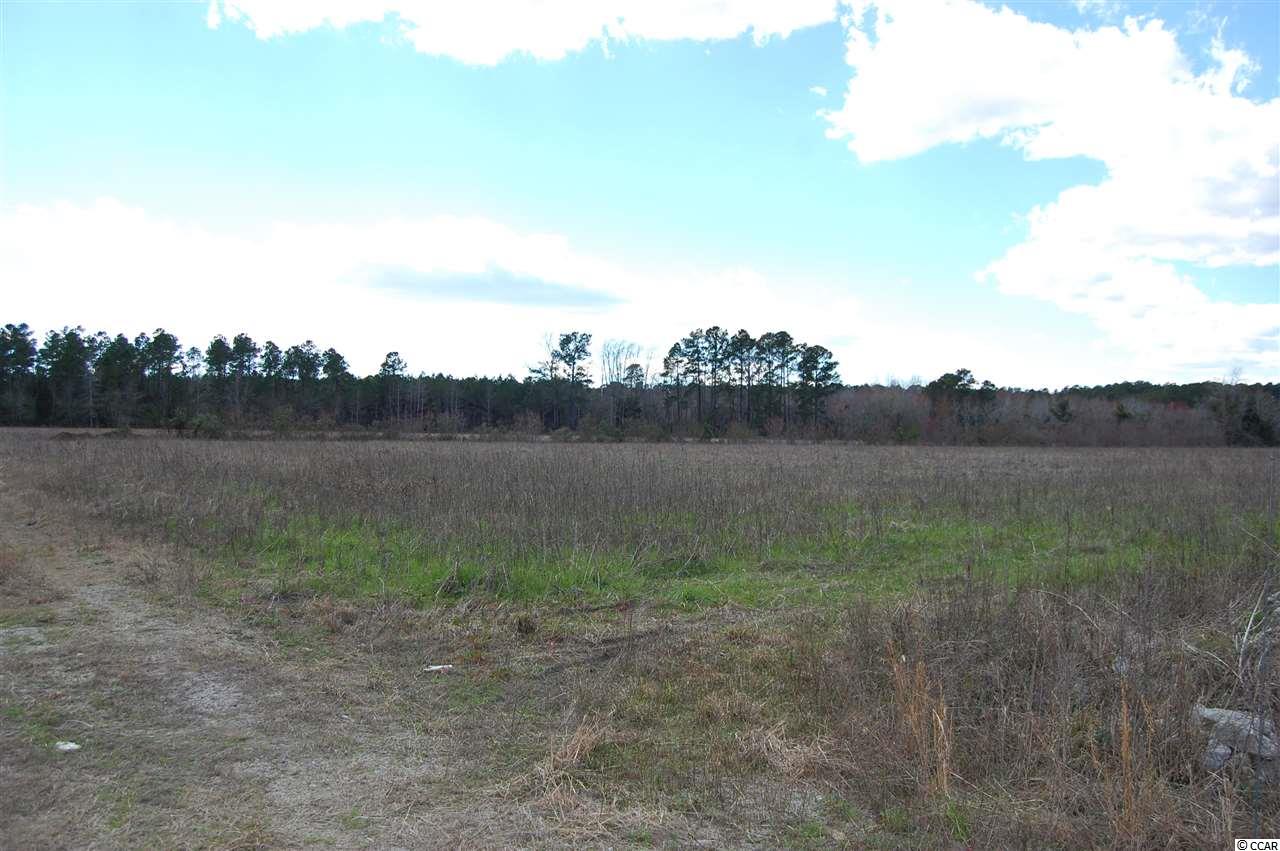 90 Highway 90 Little River, SC 29566 - Photo 2 of 15