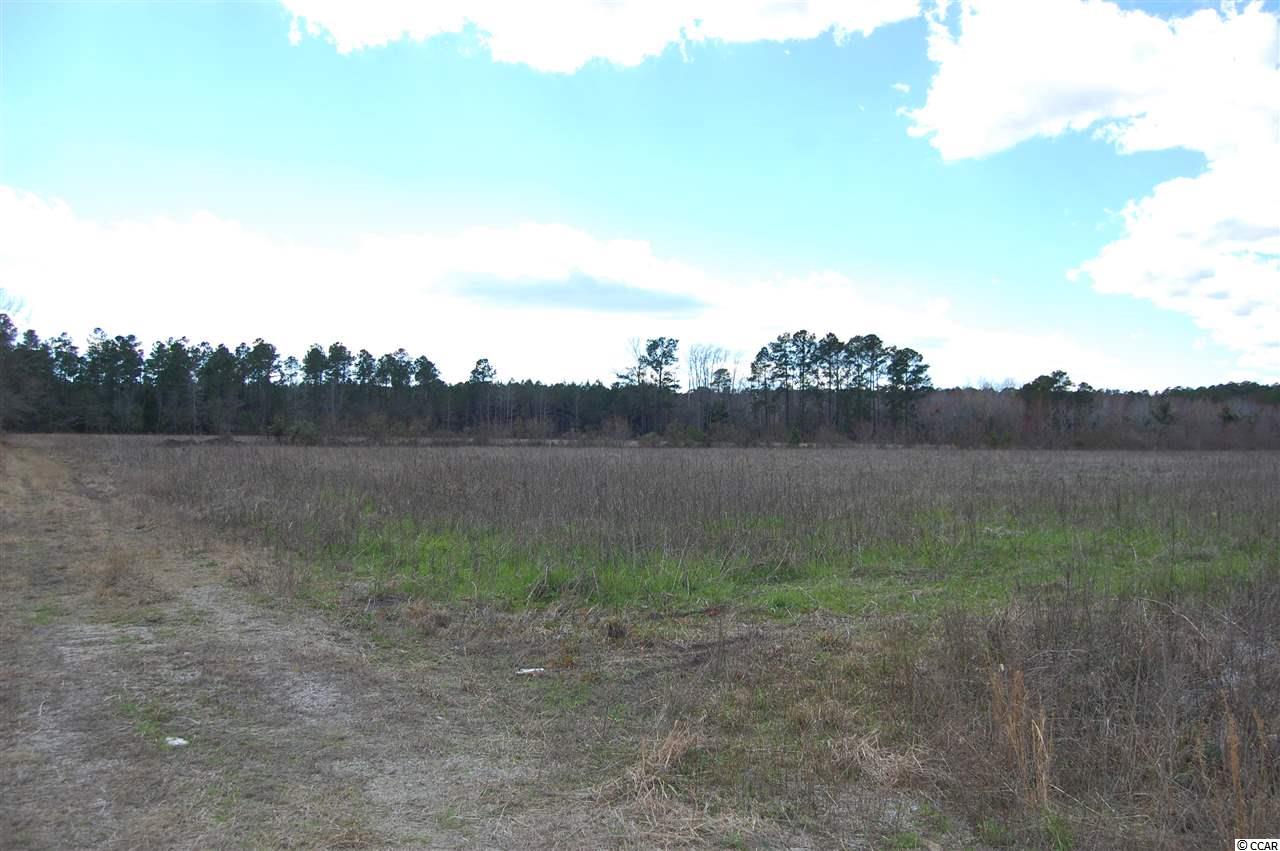 90 Highway 90 Little River, SC 29566 - Photo 3 of 15