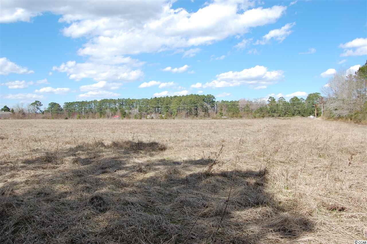 90 Highway 90 Little River, SC 29566 - Photo 5 of 15