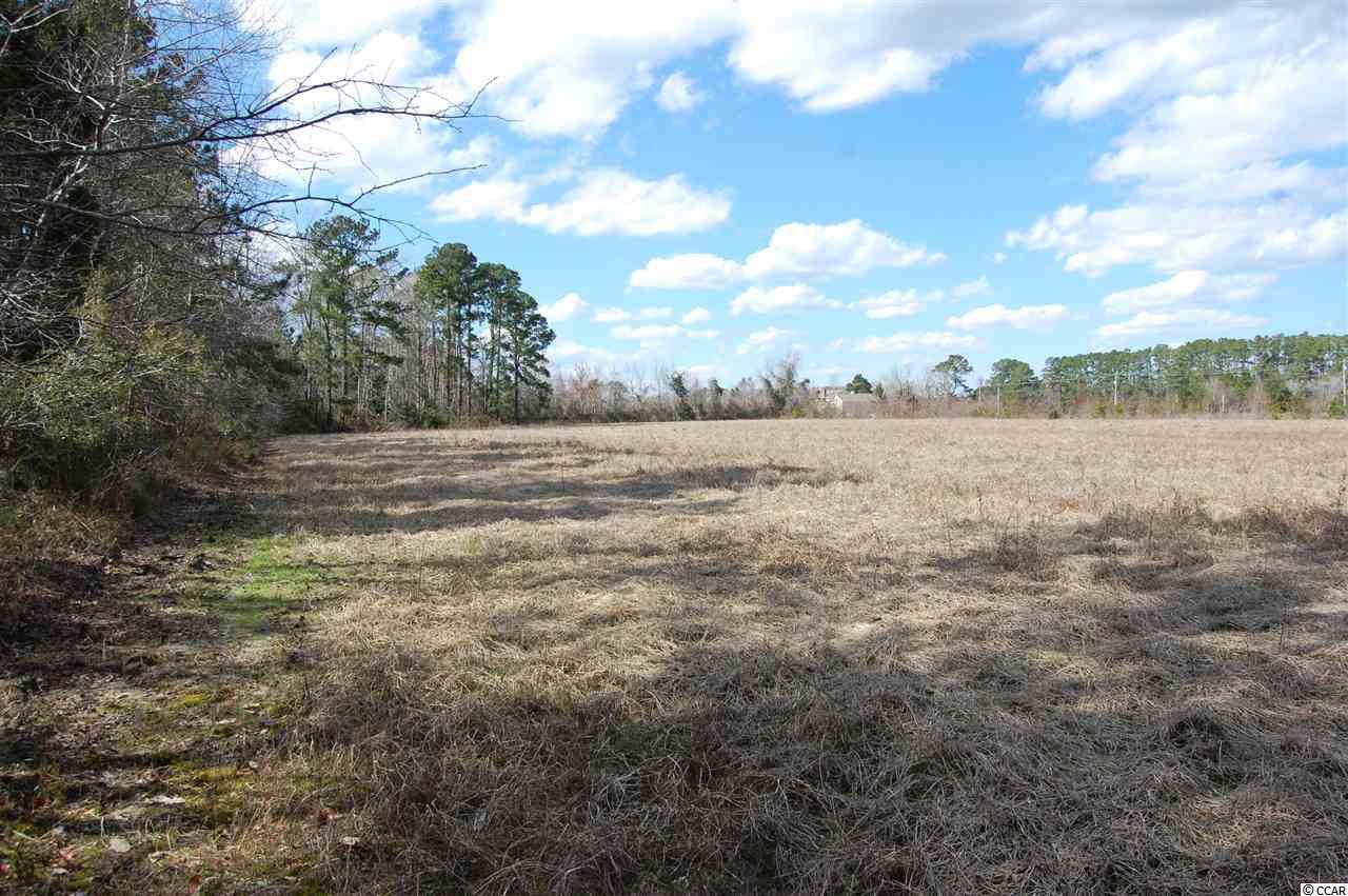 90 Highway 90 Little River, SC 29566 - Photo 6 of 15