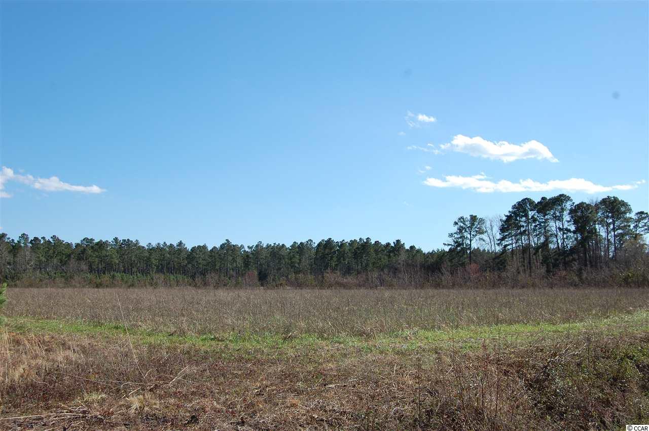 90 Highway 90 Little River, SC 29566 - Photo 8 of 15