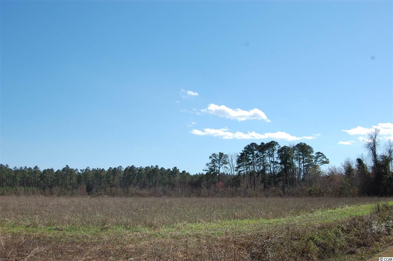 90 Highway 90 Little River, SC 29566 - Photo 9 of 15