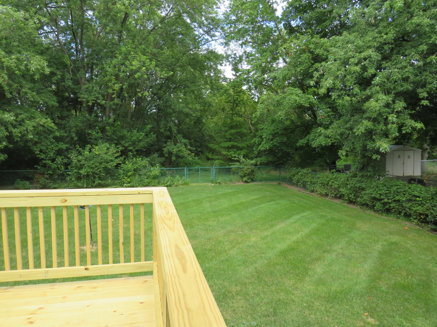 331 Carol Road New Lenox, IL 60451 - Photo 25 of 26 Gallery Image 25