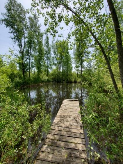 1120 South Loomis Road Mount Pleasant, MI 48858 - Photo 31 of 33 pnd 1