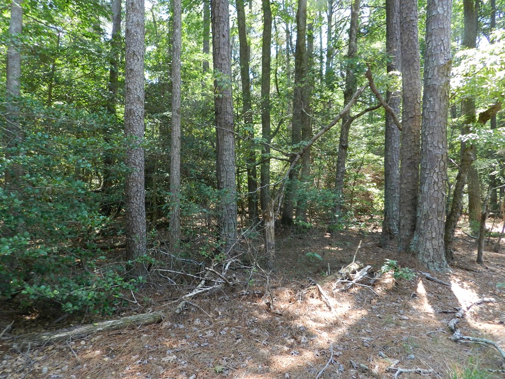 Lot B6 Saltworks Road, Unit B6 Exmore, VA 23350 - Photo 27 of 28