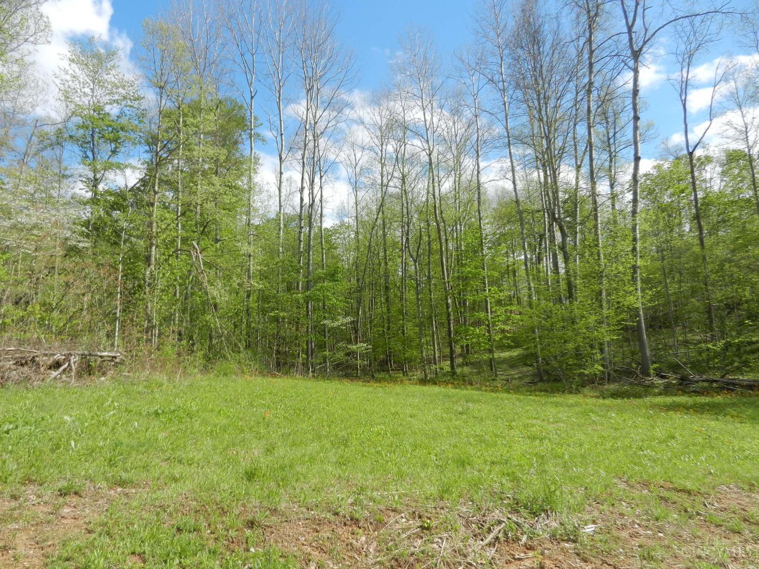 0 Randalls Run Road Blue Creek, OH 45616 - Photo 34 of 38