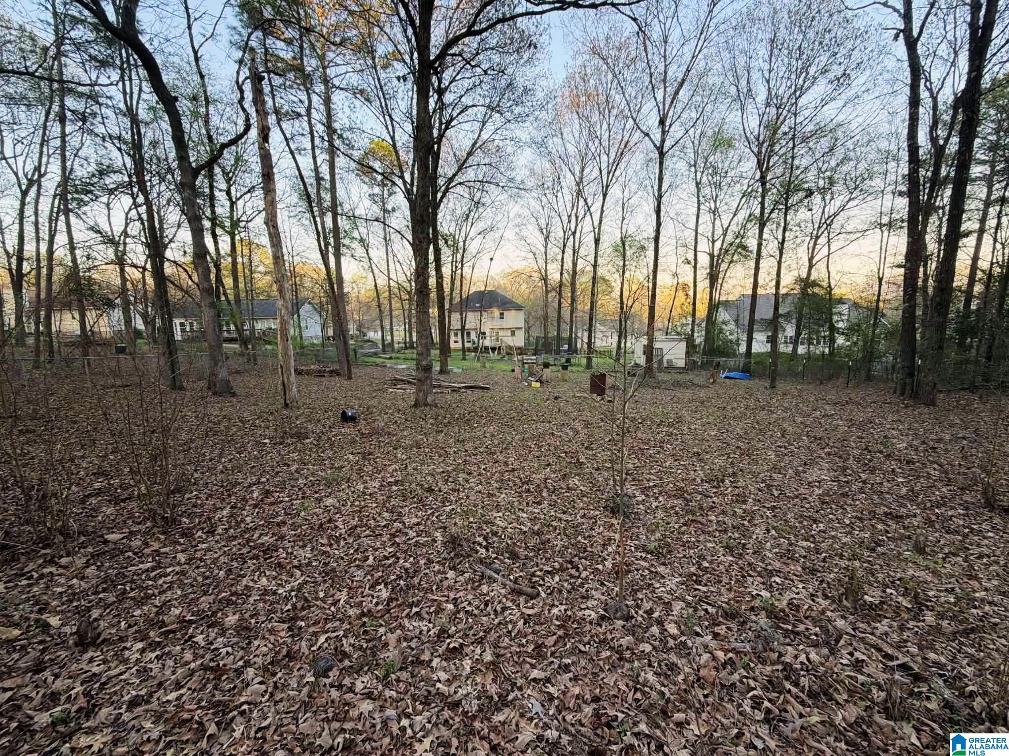 256 Milgray Lane Calera, AL 35040 - Photo 31 of 33