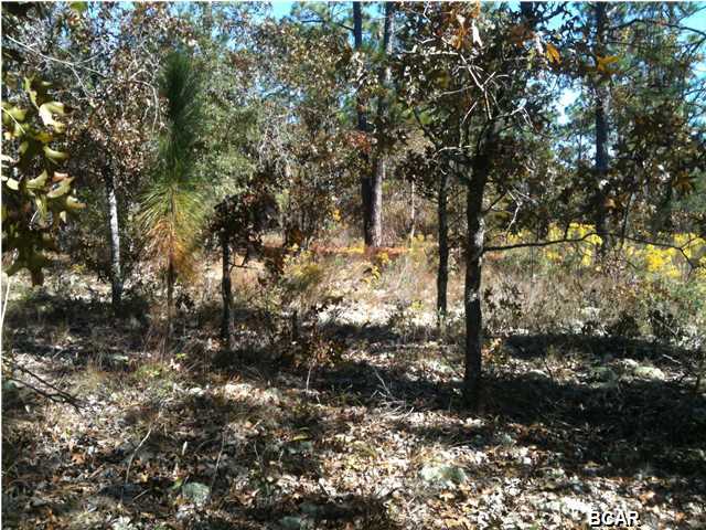 48 Grassy Pond Road Chipley, FL 32428 - Photo 7 of 9