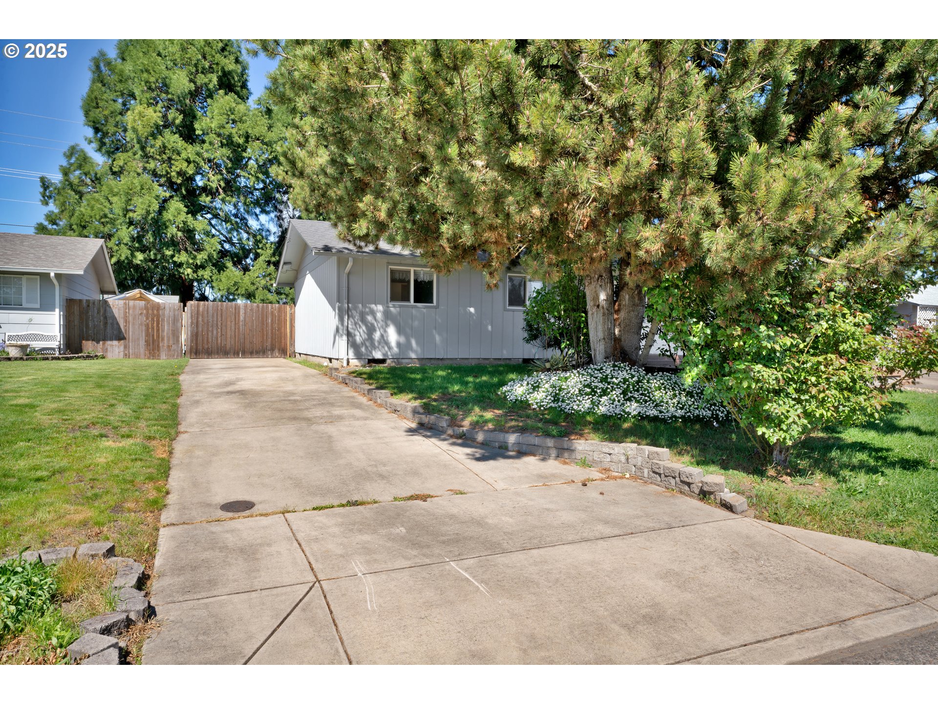 3760 Cherokee Drive Springfield, OR 97478 - Photo 5 of 42 a view of a yard with plants and large trees