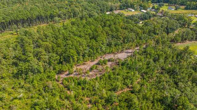 $99,998 | 0 Yaremich Road, Moncks Corner, SC 29461