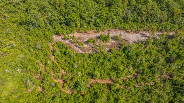 $99,998 | 0 Yaremich Road, Moncks Corner, SC 29461