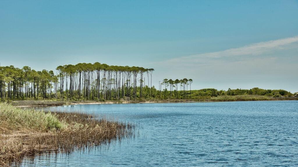 24 Beach View Dr Inlet Beach Inlet Beach, FL 32461 - Photo 27 of 27 a view of a lake with a big yard