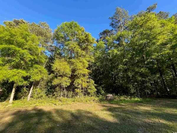 $240,000 | 135 Ben Horry Trail, Pawleys Island, SC 29585