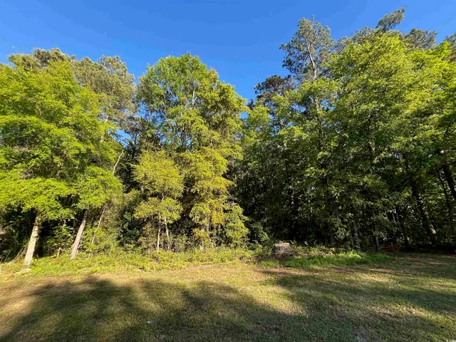 $240,000 | 135 Ben Horry Trail, Pawleys Island, SC 29585