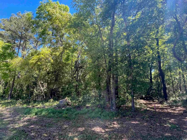 $240,000 | 135 Ben Horry Trail, Pawleys Island, SC 29585