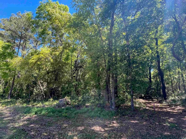 $240,000 | 135 Ben Horry Trail, Pawleys Island, SC 29585