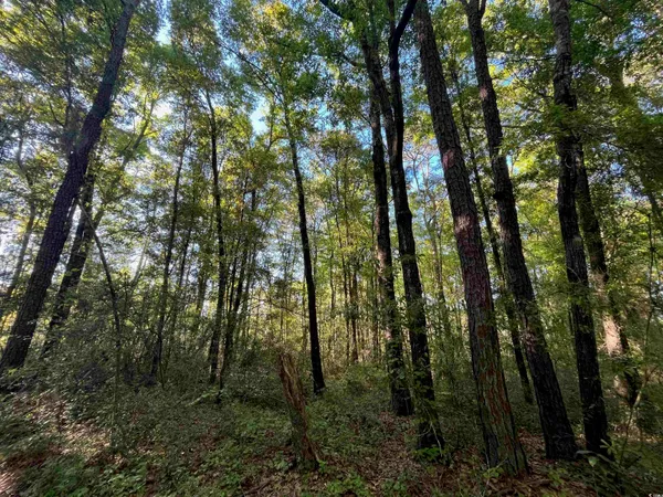 $240,000 | 135 Ben Horry Trail, Pawleys Island, SC 29585