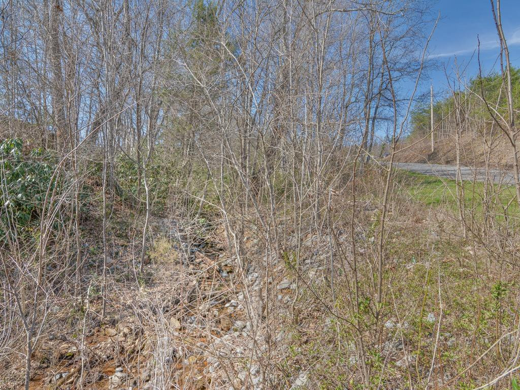 109 Pierce Branch Road Elizabethton, TN 37643 - Photo 31 of 31 Creek goes through property