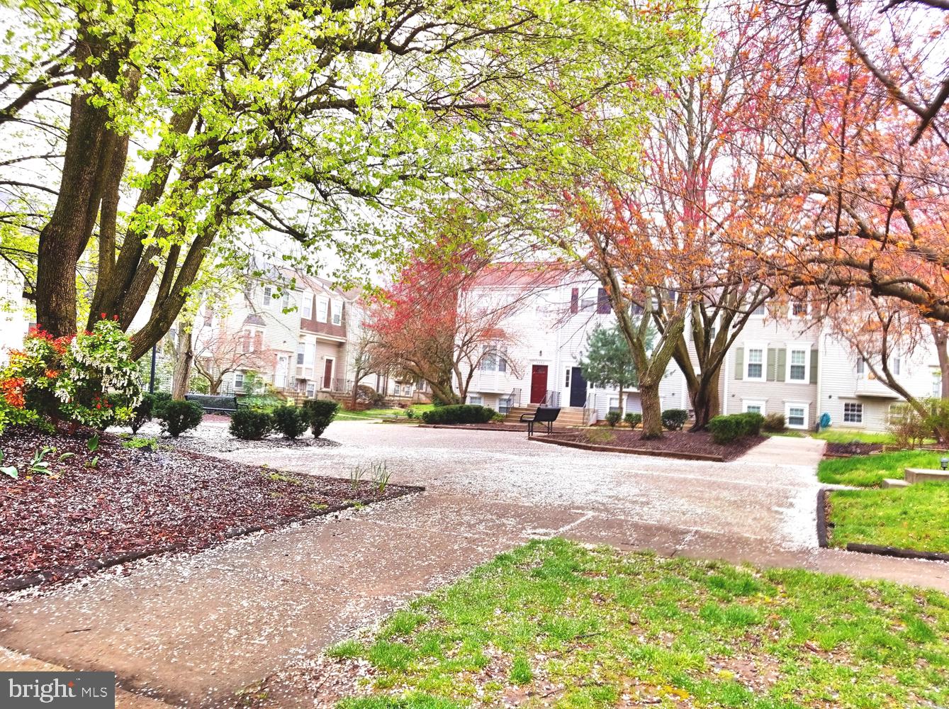 2436 Ridgehampton Court Reston, VA 20191 - Photo 38 of 40